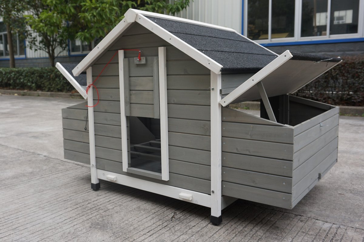 Primitief succes filosofie Groot kippenhok nodig? | Bekijk onze collectie grote kippenhokken | kippenhokken.be Primitief succes filosofie Groot kippenhok nodig? | Bekijk onze collectie grote kippenhokken | kippenhokken.be
