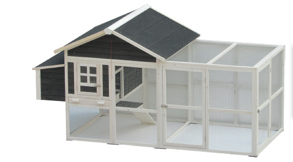 Kippenhok Met Mestlade Snelle Levering Diverse Modellen