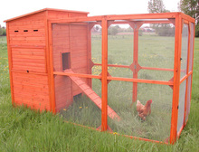 Kippenhok met ren TS2